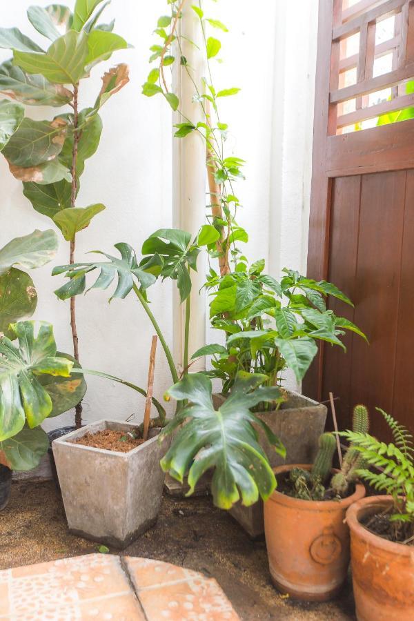 The Little Siri Hotel Chiang Mai Bagian luar foto